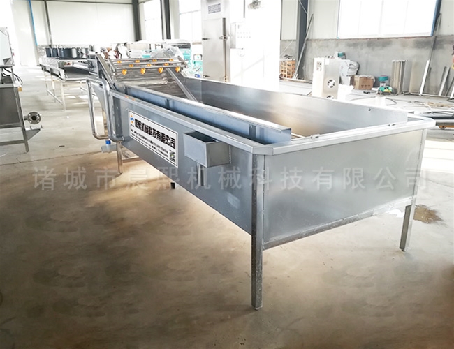 火龍果清洗機型號