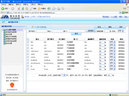電子商務(wù)應(yīng)用專家視角 大宗商品電子交易與信息化服務(wù)的融合發(fā)展